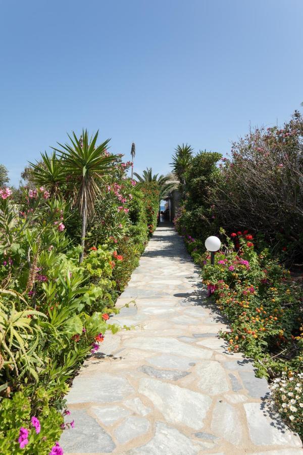 מלון Agrari Ninemia Mykonos מראה חיצוני תמונה